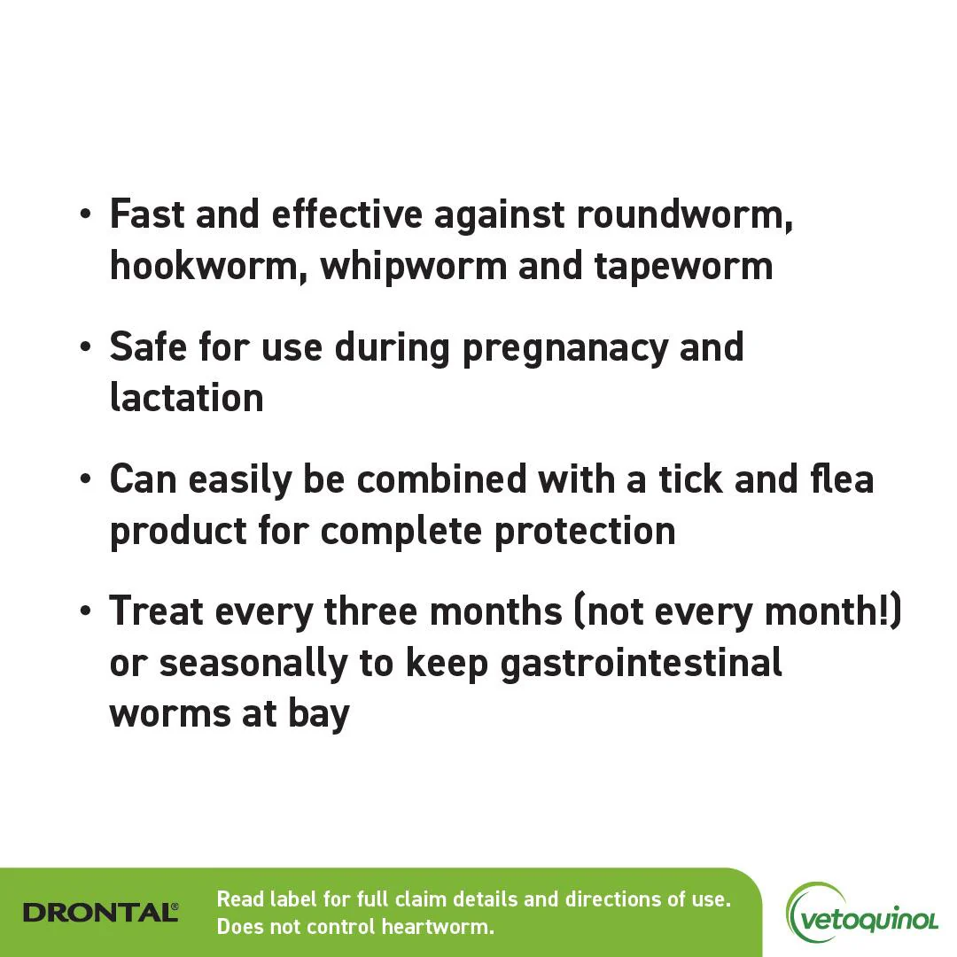 Drontal Allwormer Tablets Medium Dog 6 Pack - Image 3