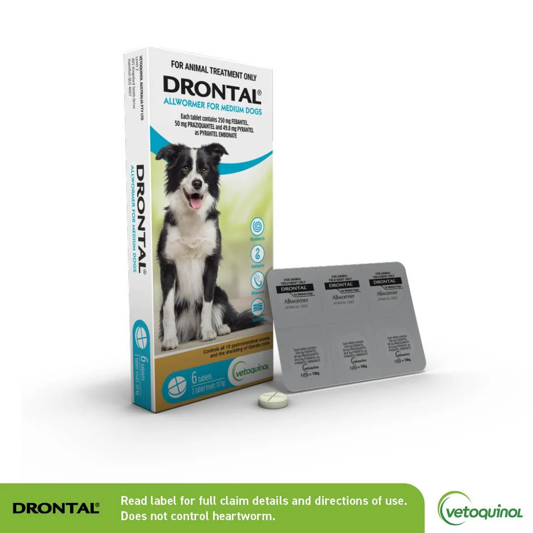 Drontal Allwormer Tablets Medium Dog 6 Pack - Image 5
