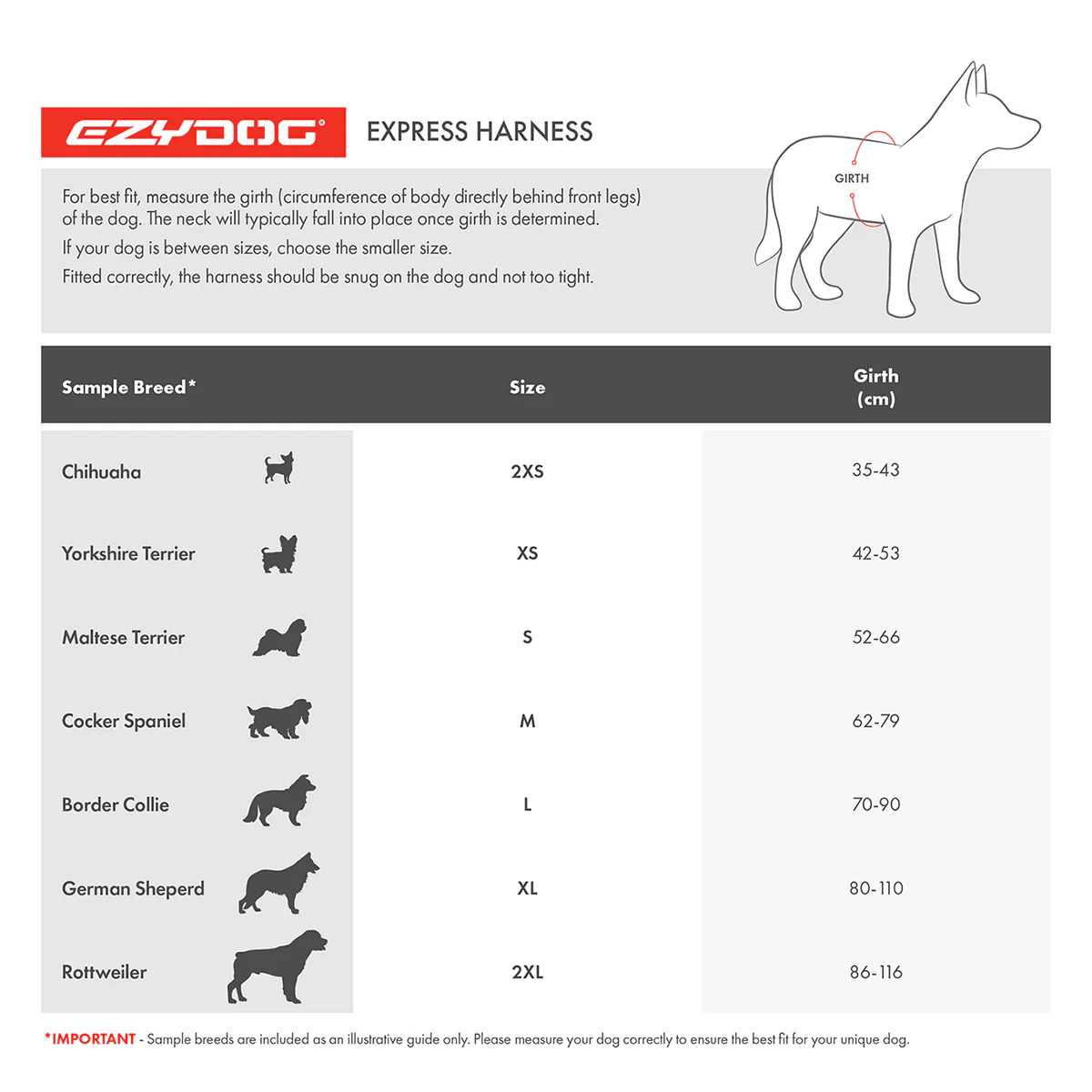 EzyDog Express Dog Harness - Image 23