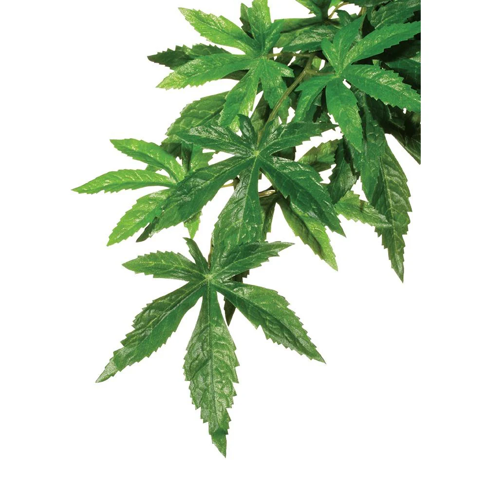Exo Terra Forest Plant Abutilon - Image 2