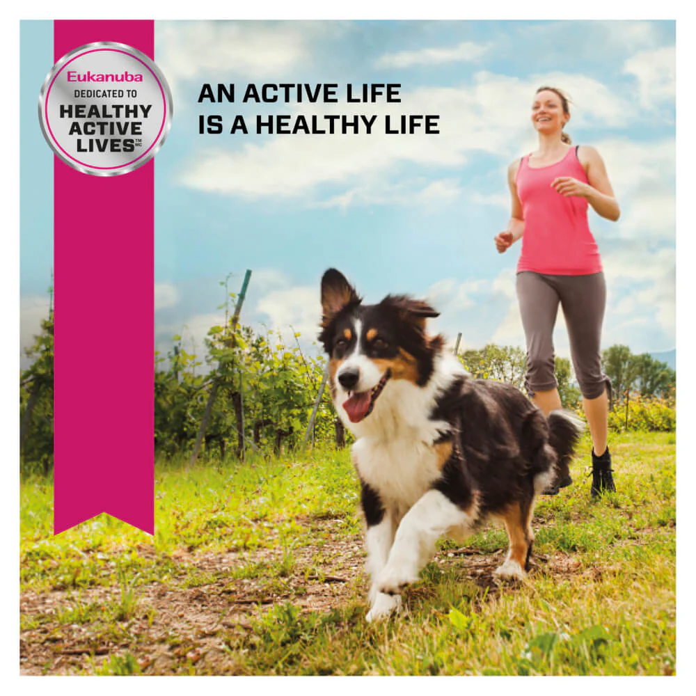 Eukanuba Senior Chicken Dry Dog Food - Image 15