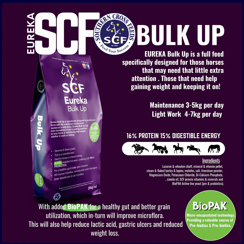 Eureka Bulk Up 20kg - Image 2