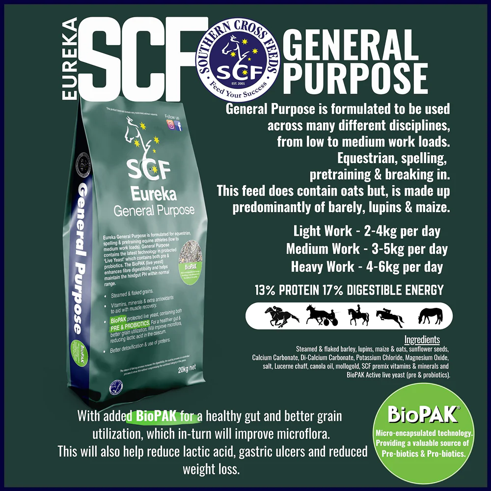 Eureka General Purpose 20kg - Image 4