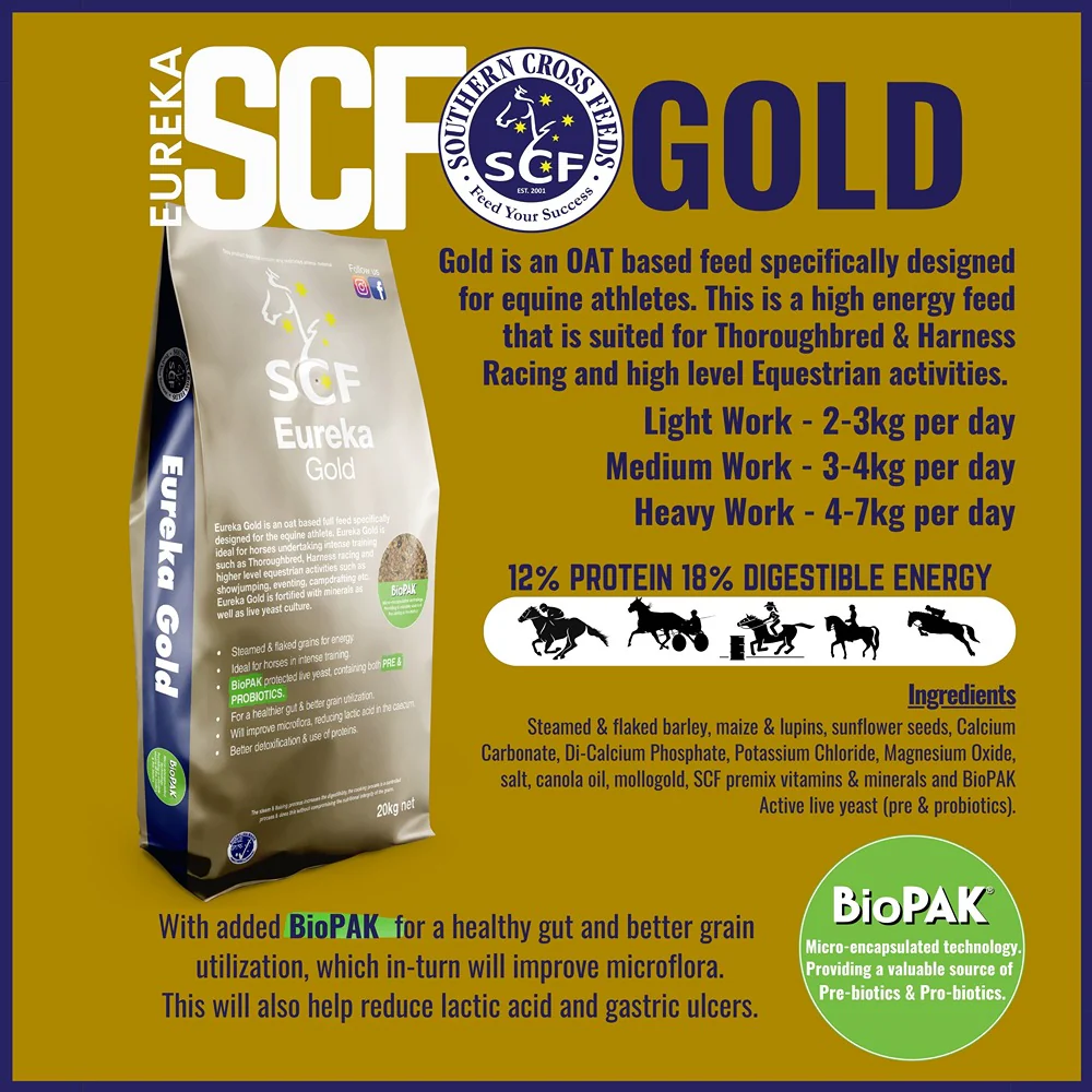 Eureka Gold 20kg - Image 2