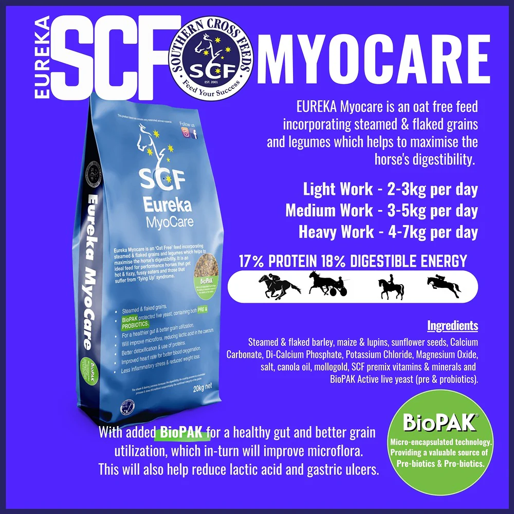 Eureka Myocare 20kg - Image 2