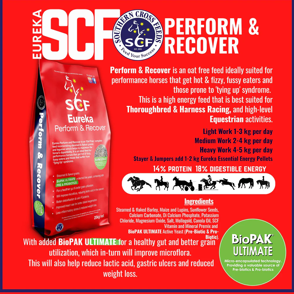 Eureka Perform & Recover 20kg - Image 2