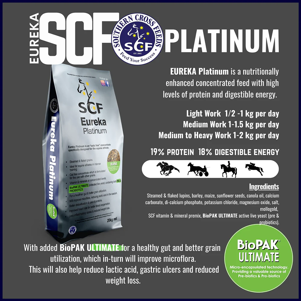 Eureka Platinum 20kg - Image 2