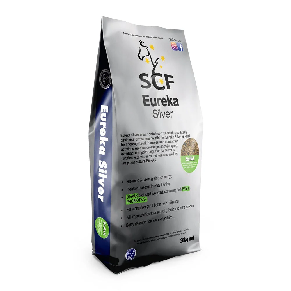 Eureka Silver 20kg - Image 3