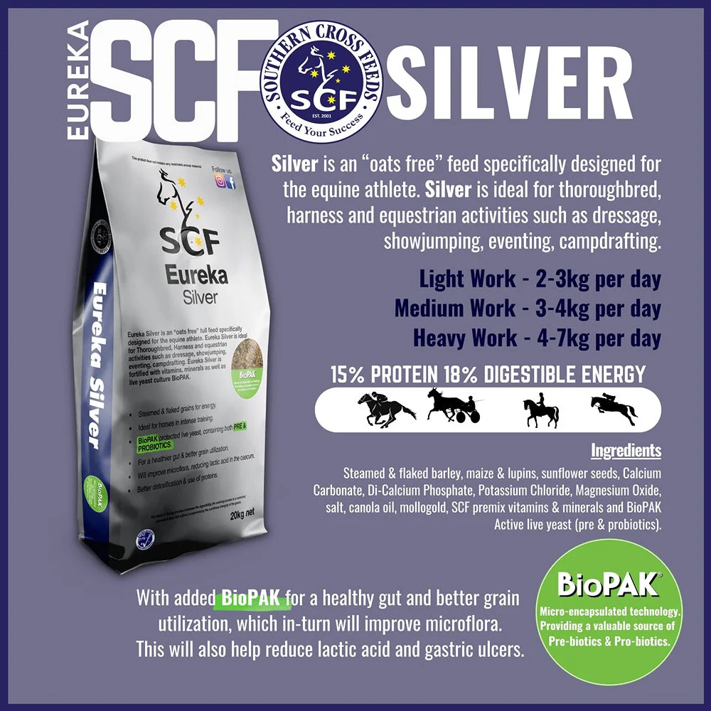 Eureka Silver 20kg - Image 4