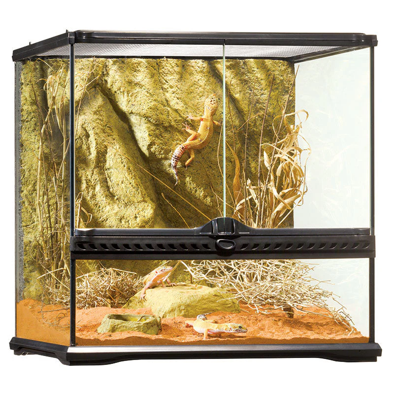 Exo Terra All Glass Small Wide Terrarium - Image 2