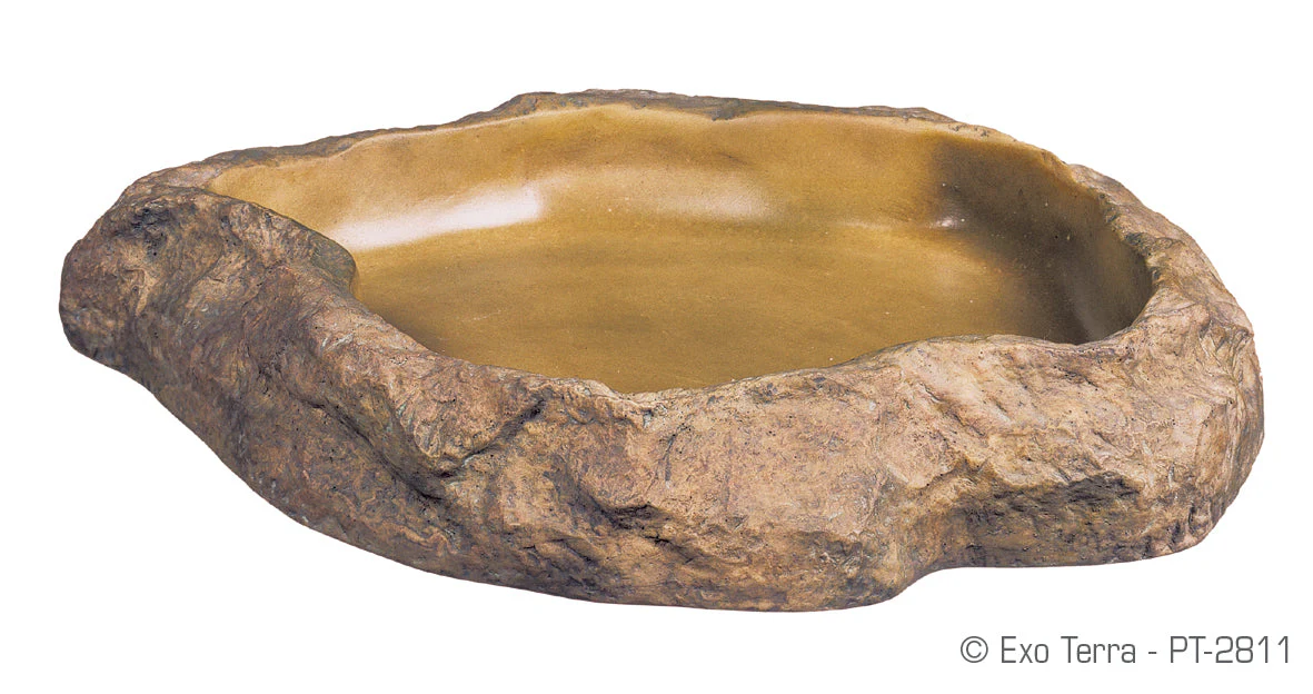 Exo Terra Feeding Dish - Image 2
