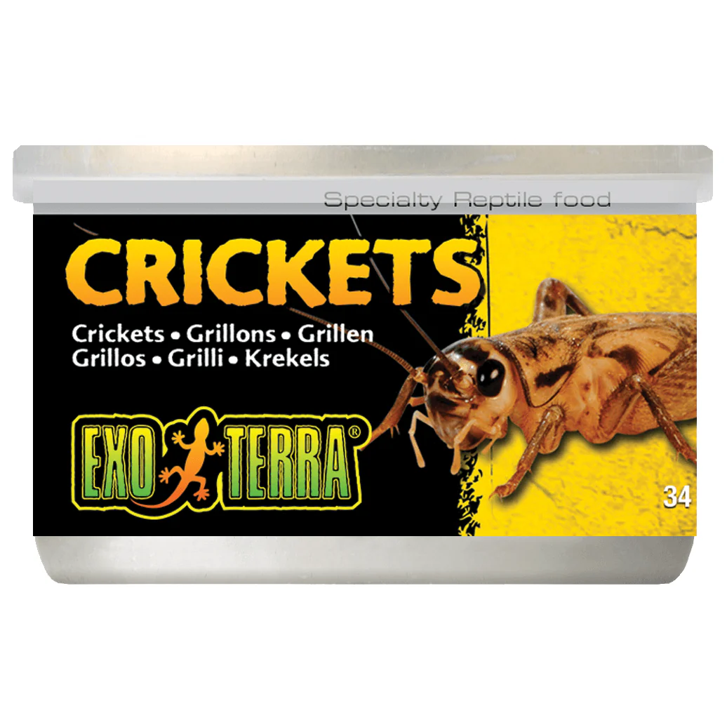 Exo Terra Small Crickets 34g
