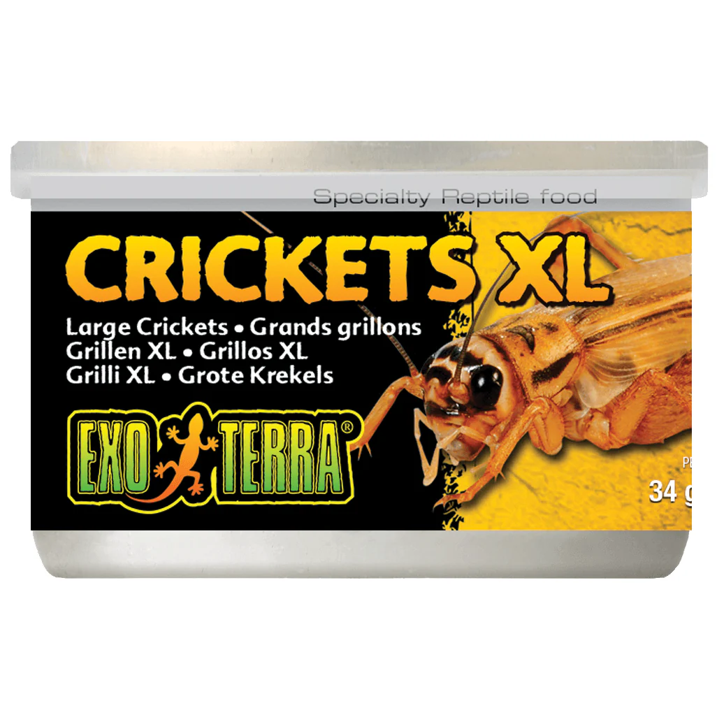 Exo Terra X Large Crickets 34g