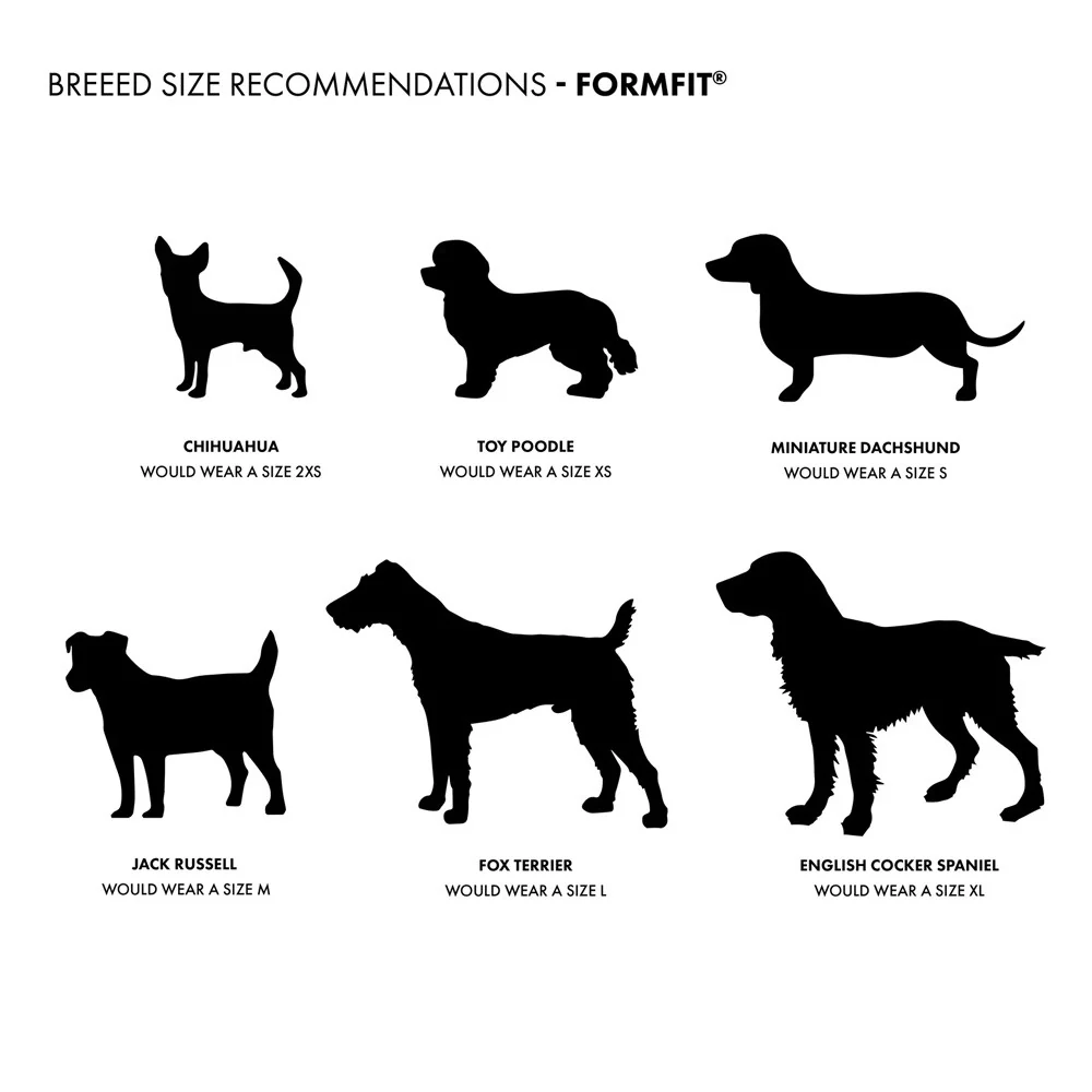 EzyDog FormFit Mesh Dog Harness - Image 129