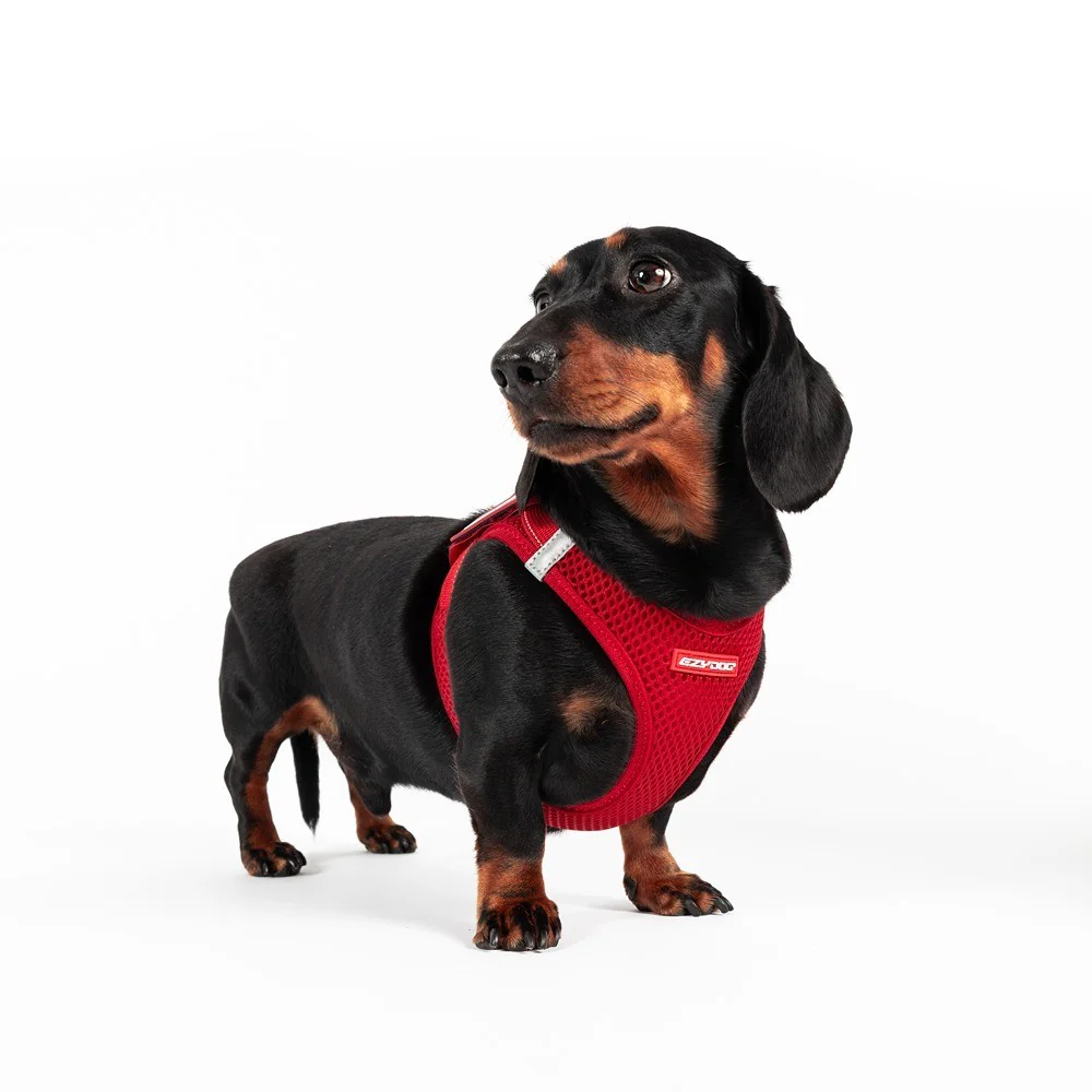 EzyDog FormFit Mesh Dog Harness - Image 70