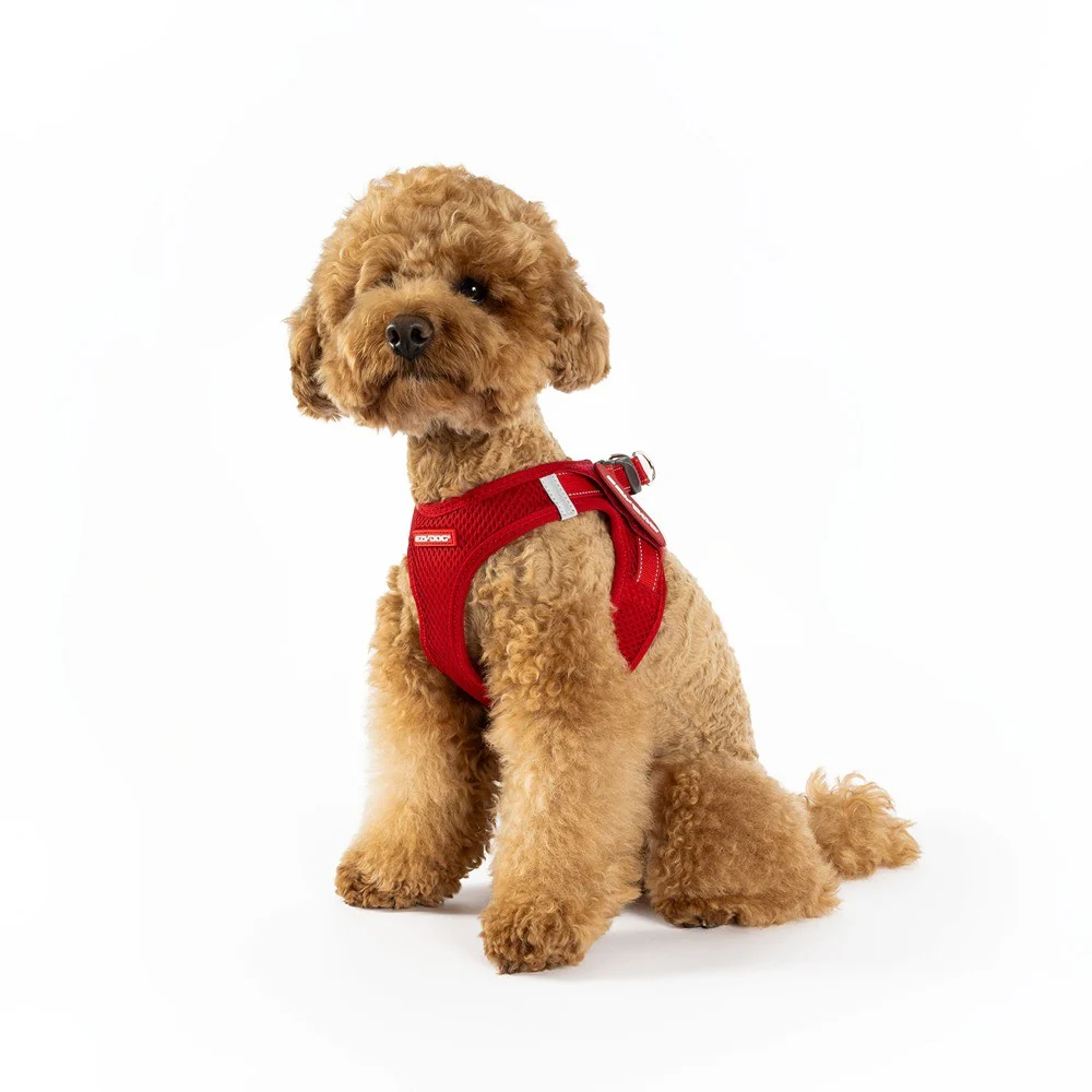 EzyDog FormFit Mesh Dog Harness - Image 97