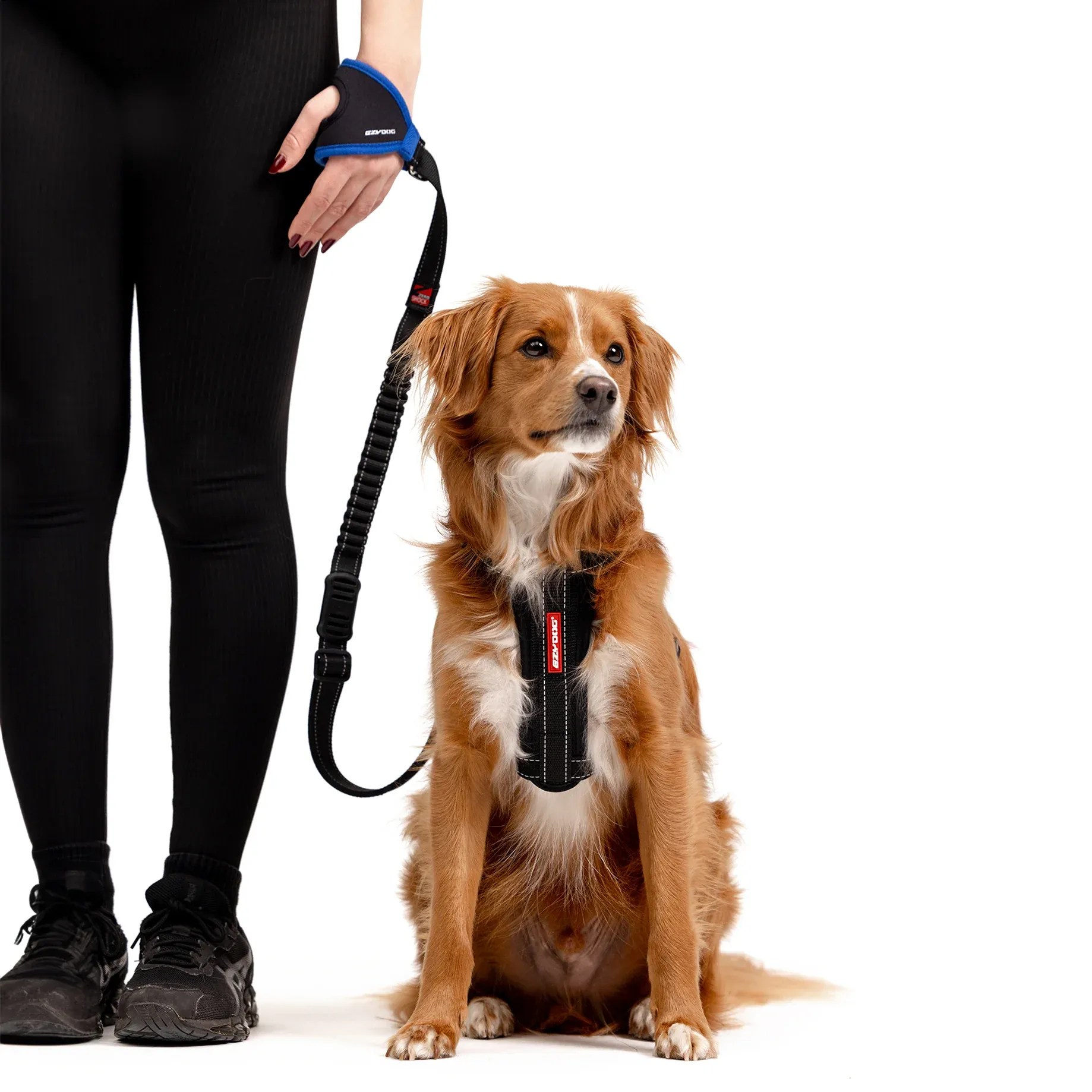 EzyDog Handy Leash with Zero Shock 48inch - Image 5