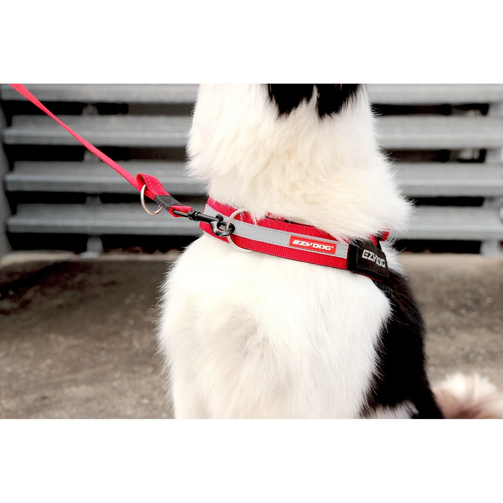 EzyDog UpFront D-Ring Accessory - Image 26