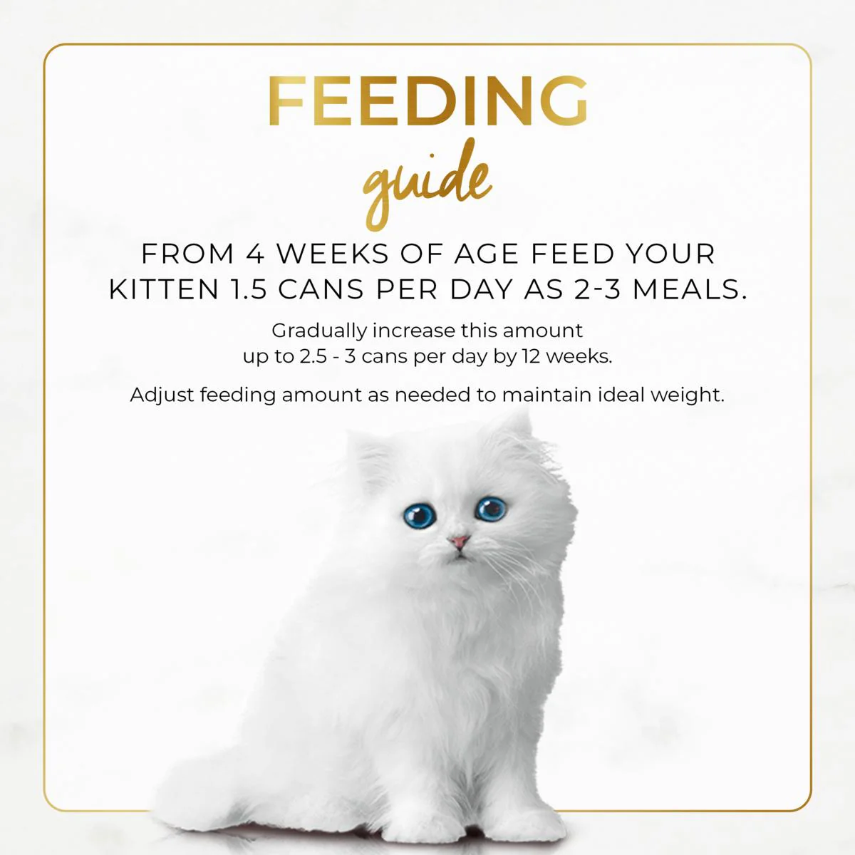 Fancy Feast Classic Pate Kitten Tender Chicken Feast Wet Cat Food 85g - Image 4