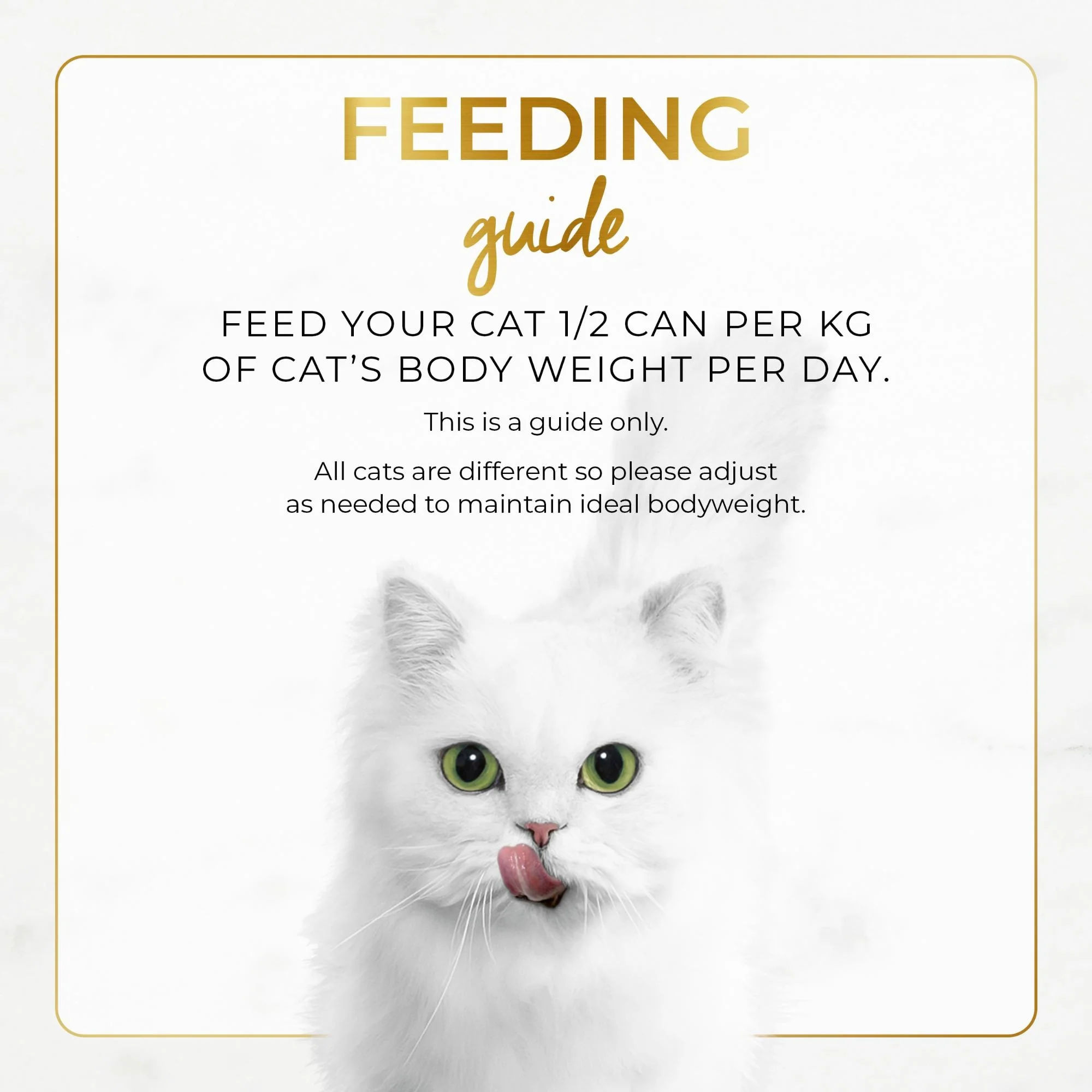 Fancy Feast Classic Pate Savoury Salmon Feast Wet Cat Food 85g - Image 13