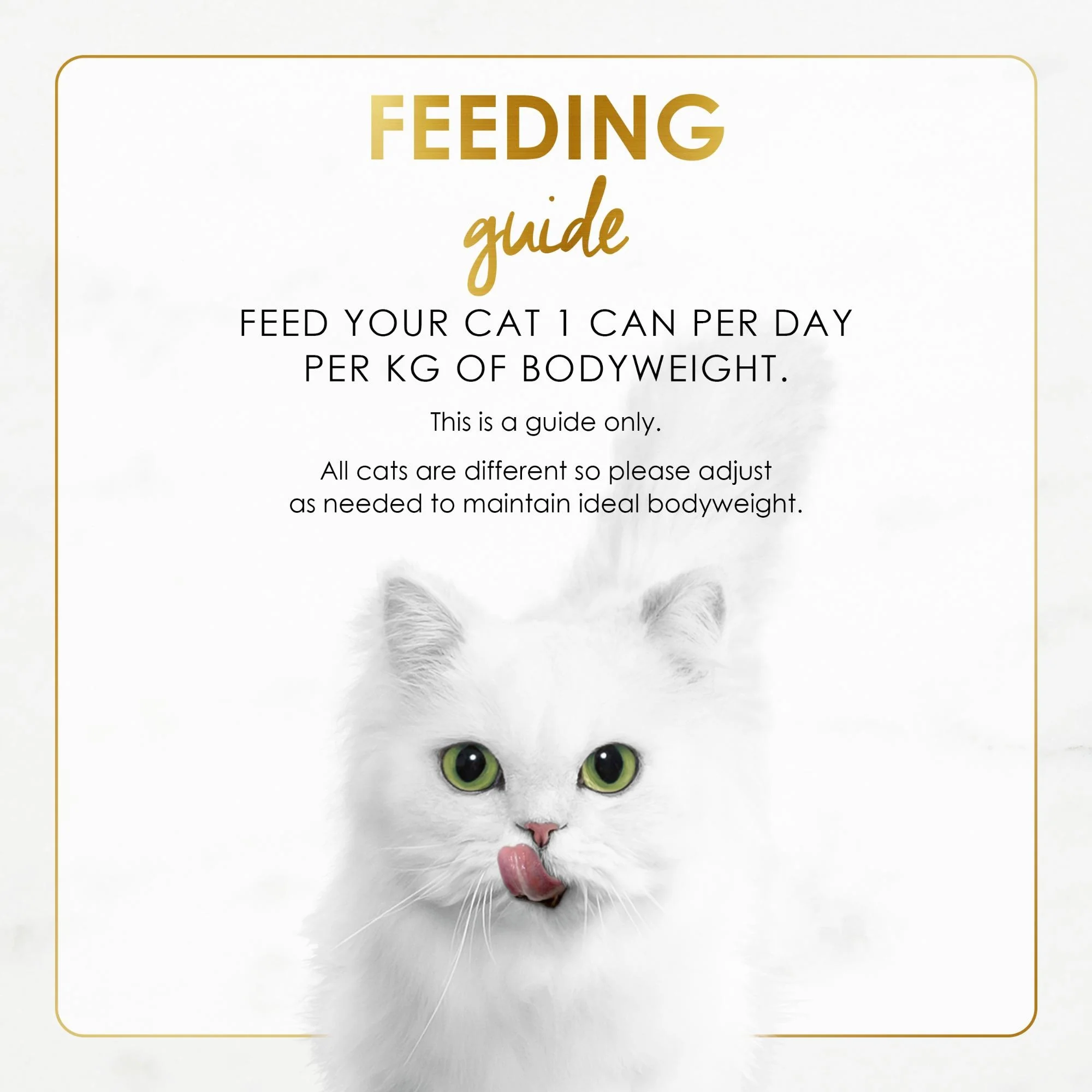 Fancy Feast Grilled Chicken Feast in Gravy Wet Cat Food 85g - Image 11