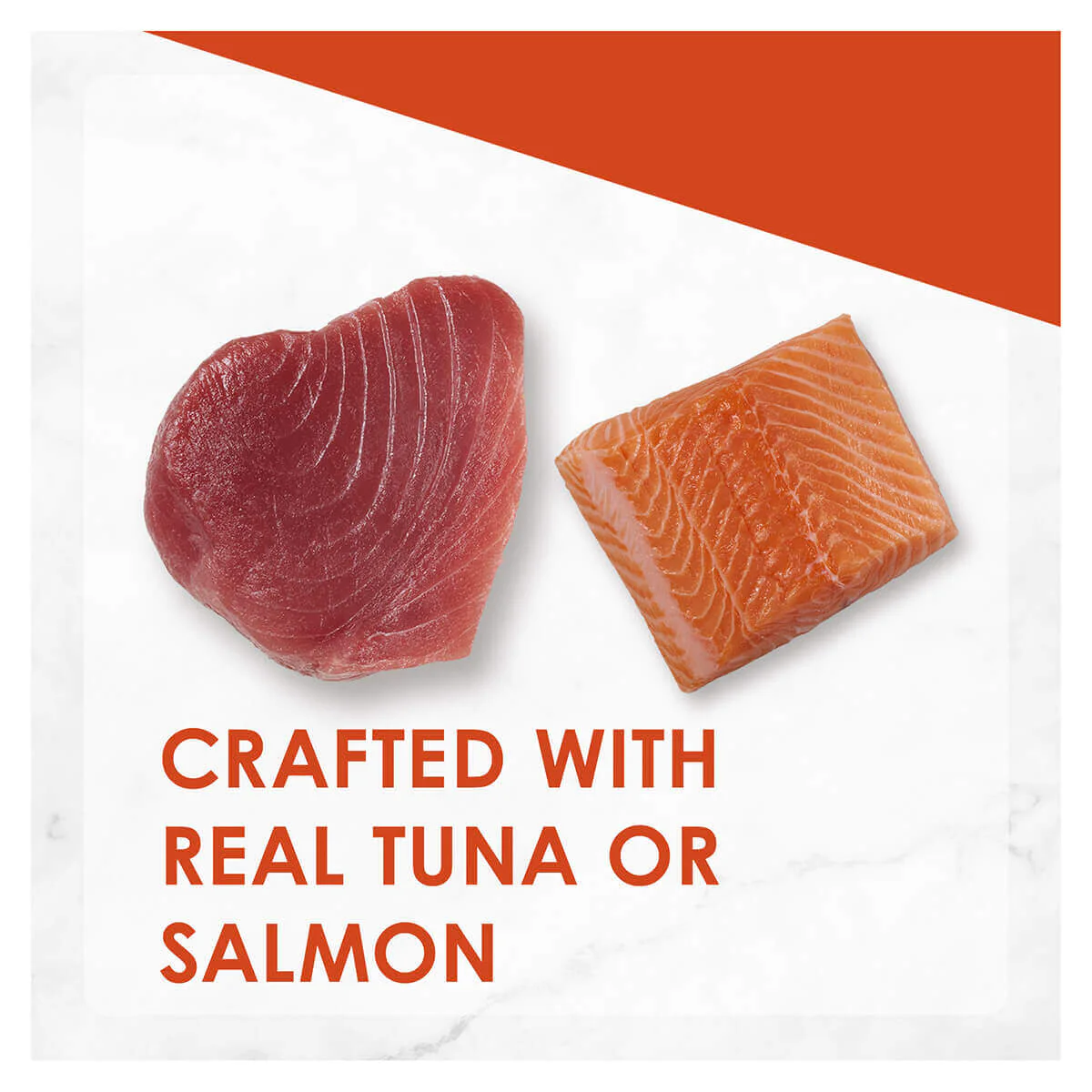 Fancy Feast Inspirations Salmon and Tuna Wet Cat Food 12x70g - Image 3
