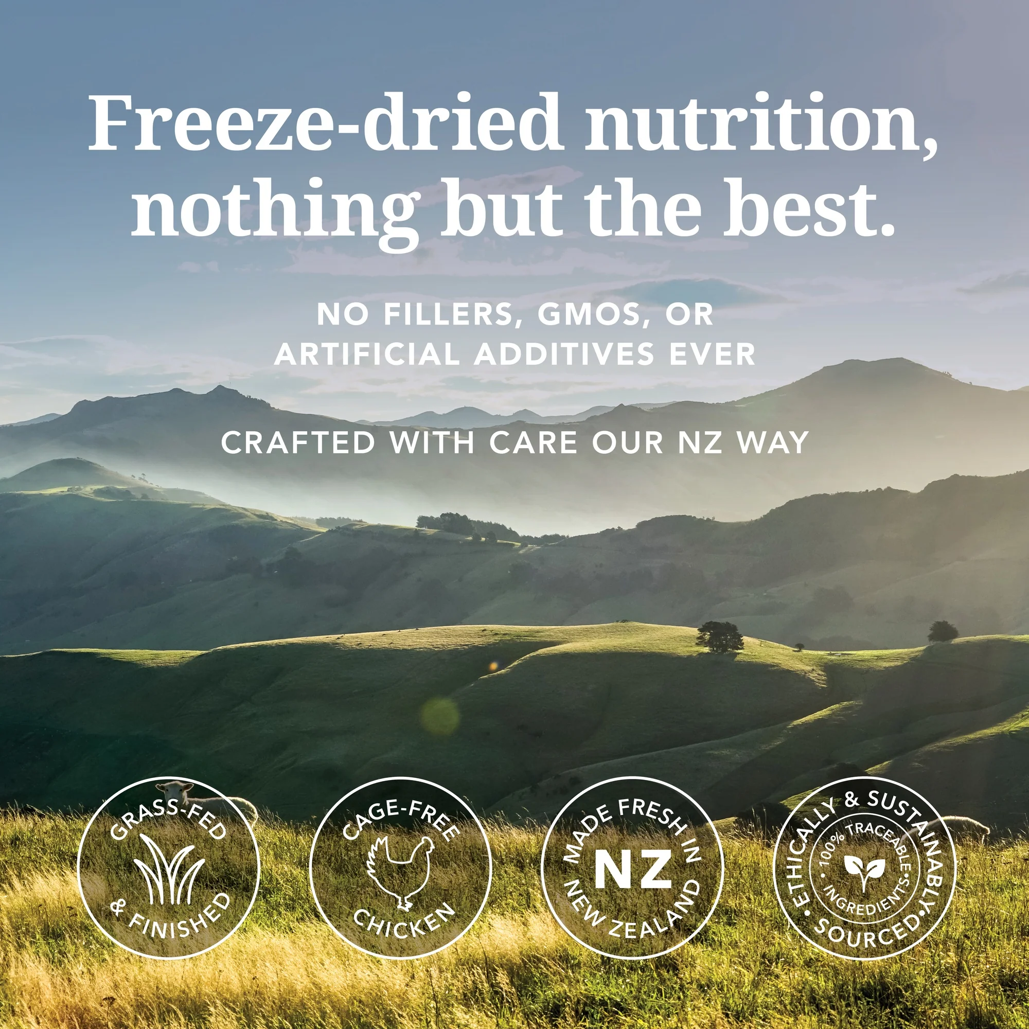 Feline Natural Freeze Dried Chicken Dry Cat Food - Image 7