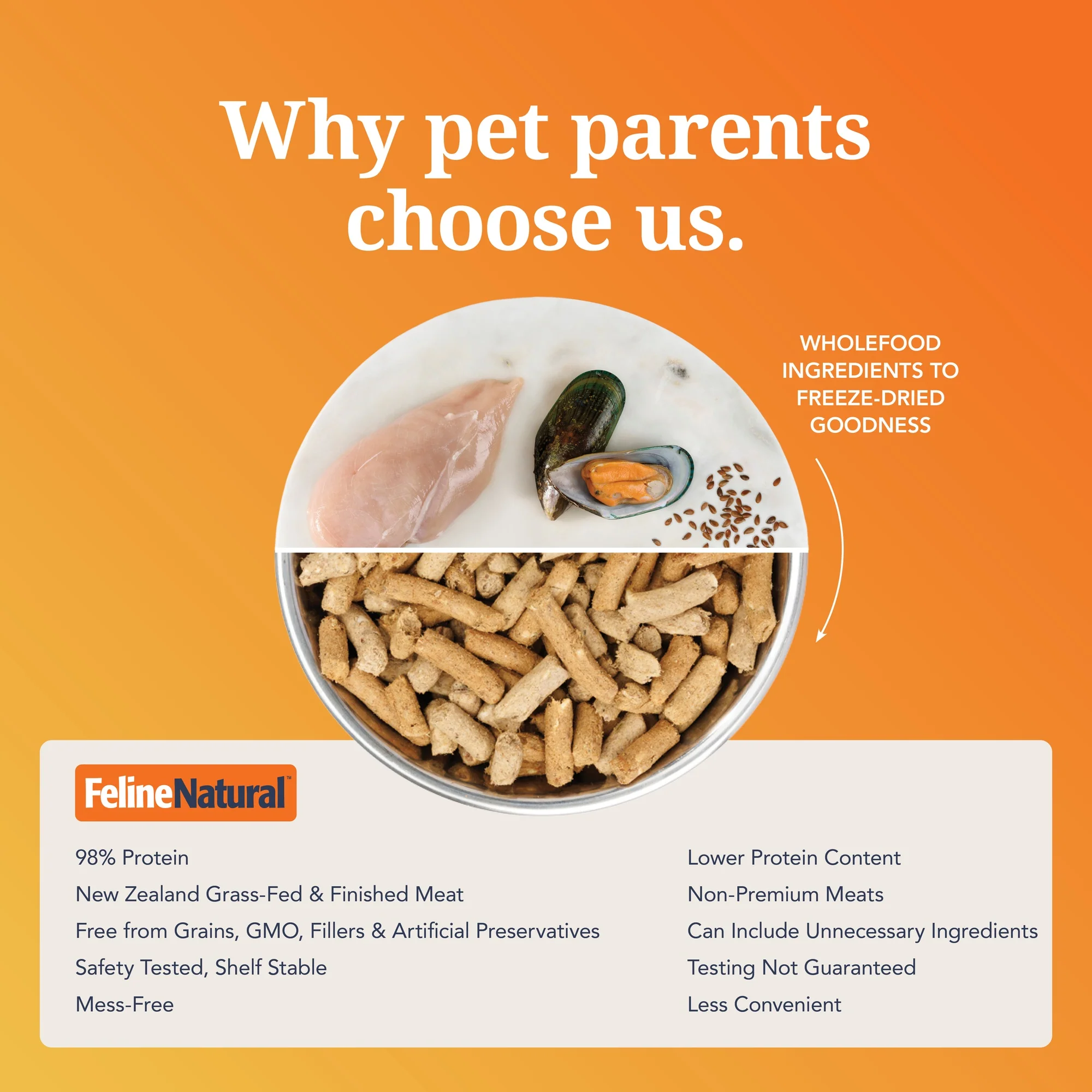 Feline Natural Freeze Dried Chicken Dry Cat Food - Image 9