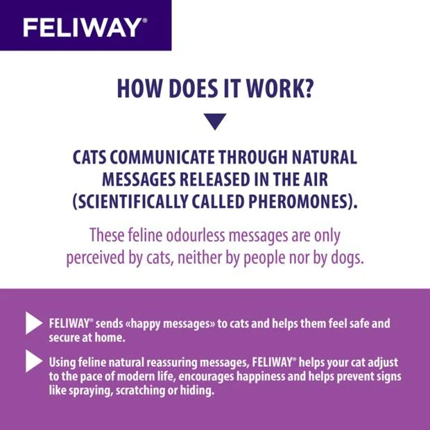 Feliway Home Diffuser Refill 48ml 3 pack - Image 3