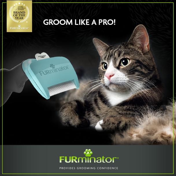 FURminator Long Hair deShedding Tool for Cats - Image 6