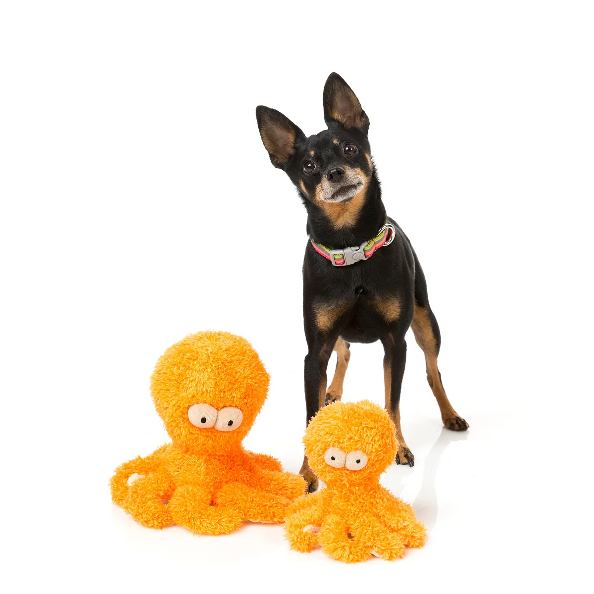 FuzzYard Legs Alot Octopus Dog Toy - Image 4