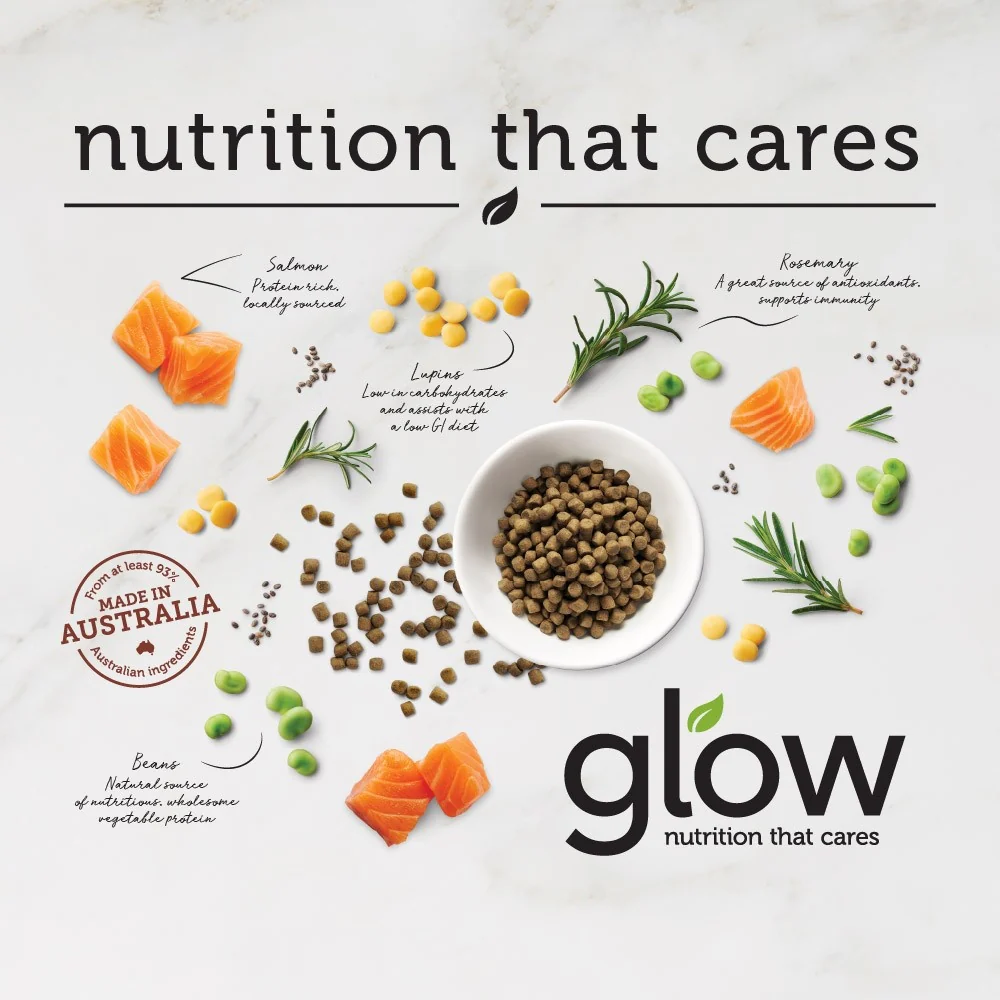 Glow Adult Australian Salmon Dry Dog Food - Image 15