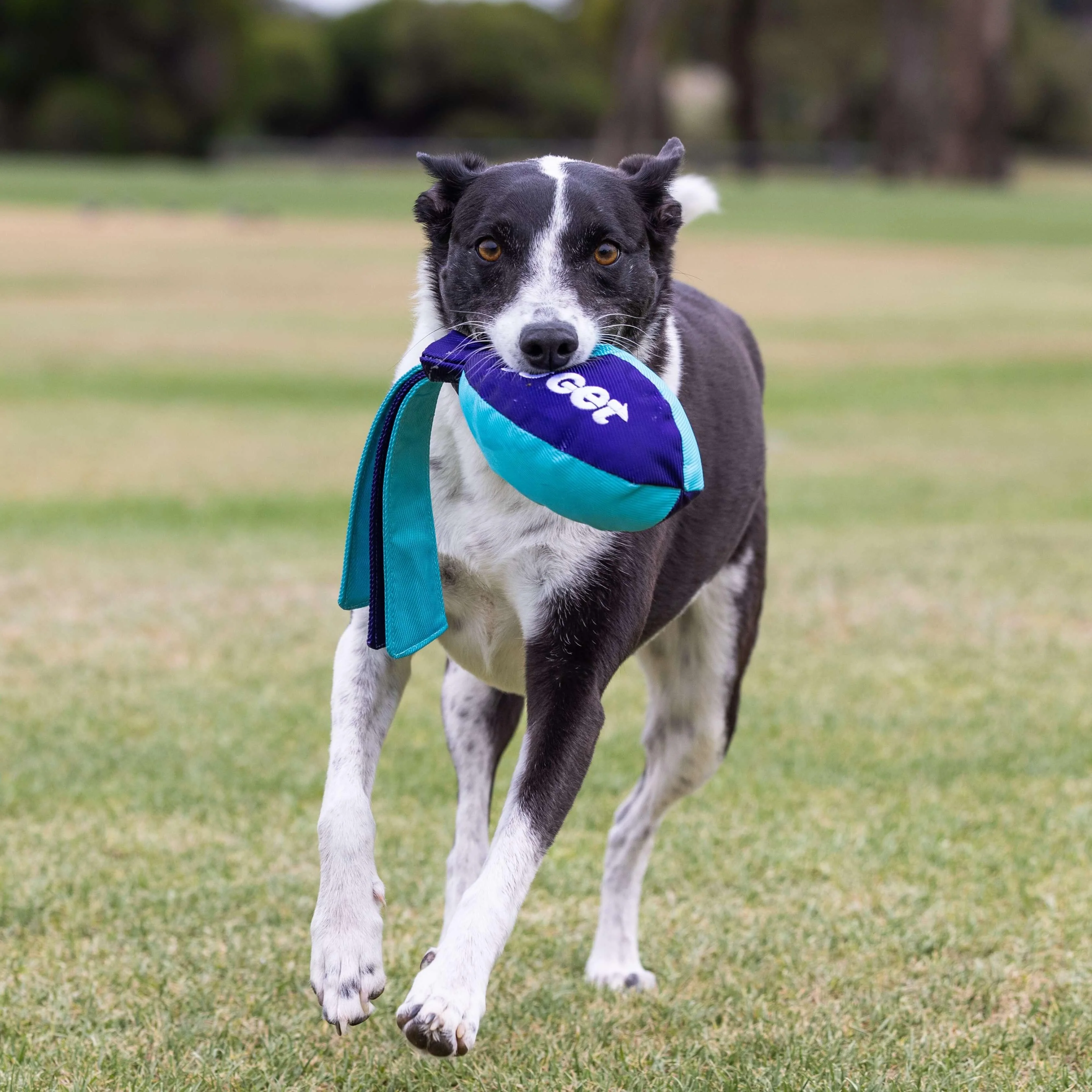 Go Get Rocket Ball Dog Toy - Image 3