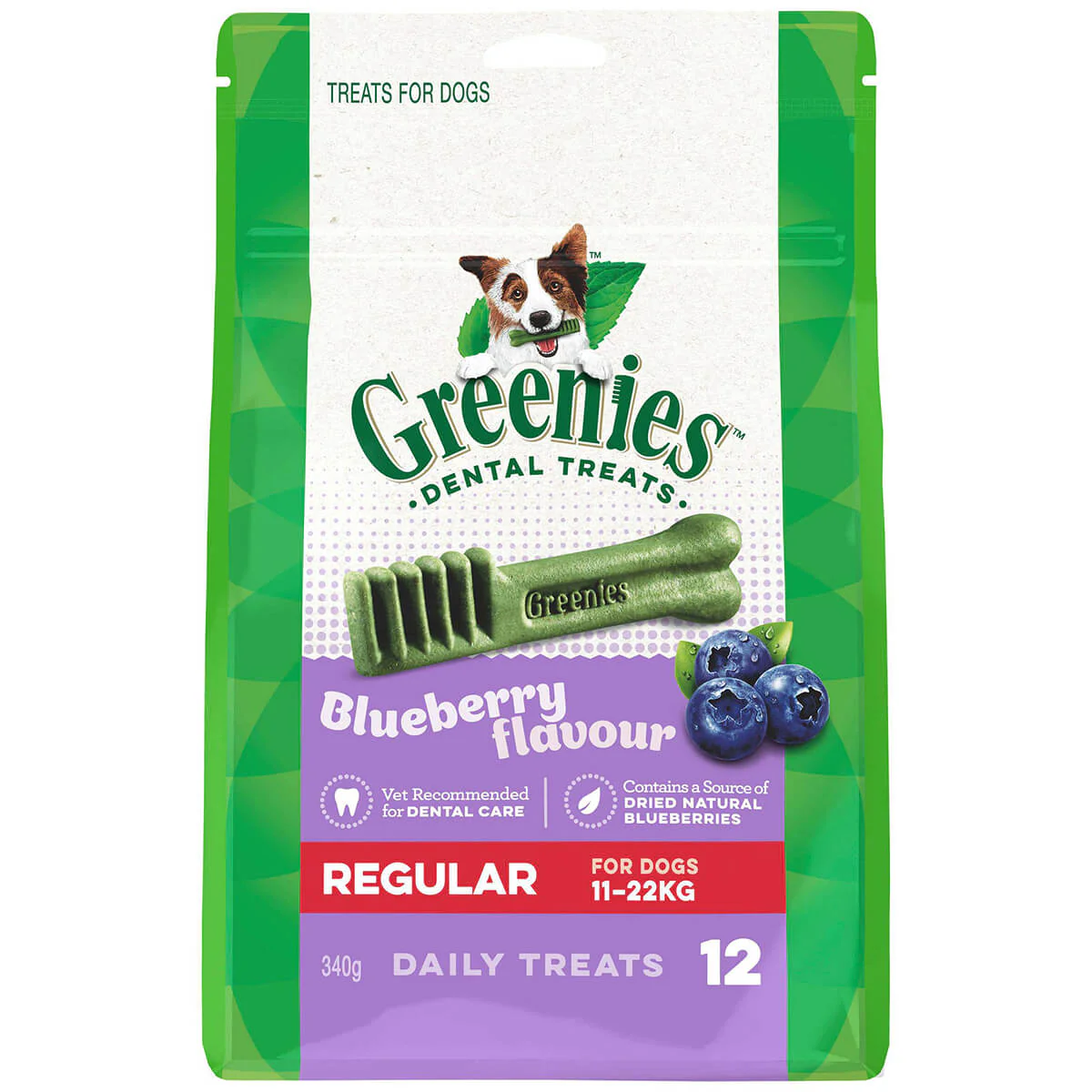 Greenies Blueberry Regular Dental Chews Dog Treats 340G - Image 2