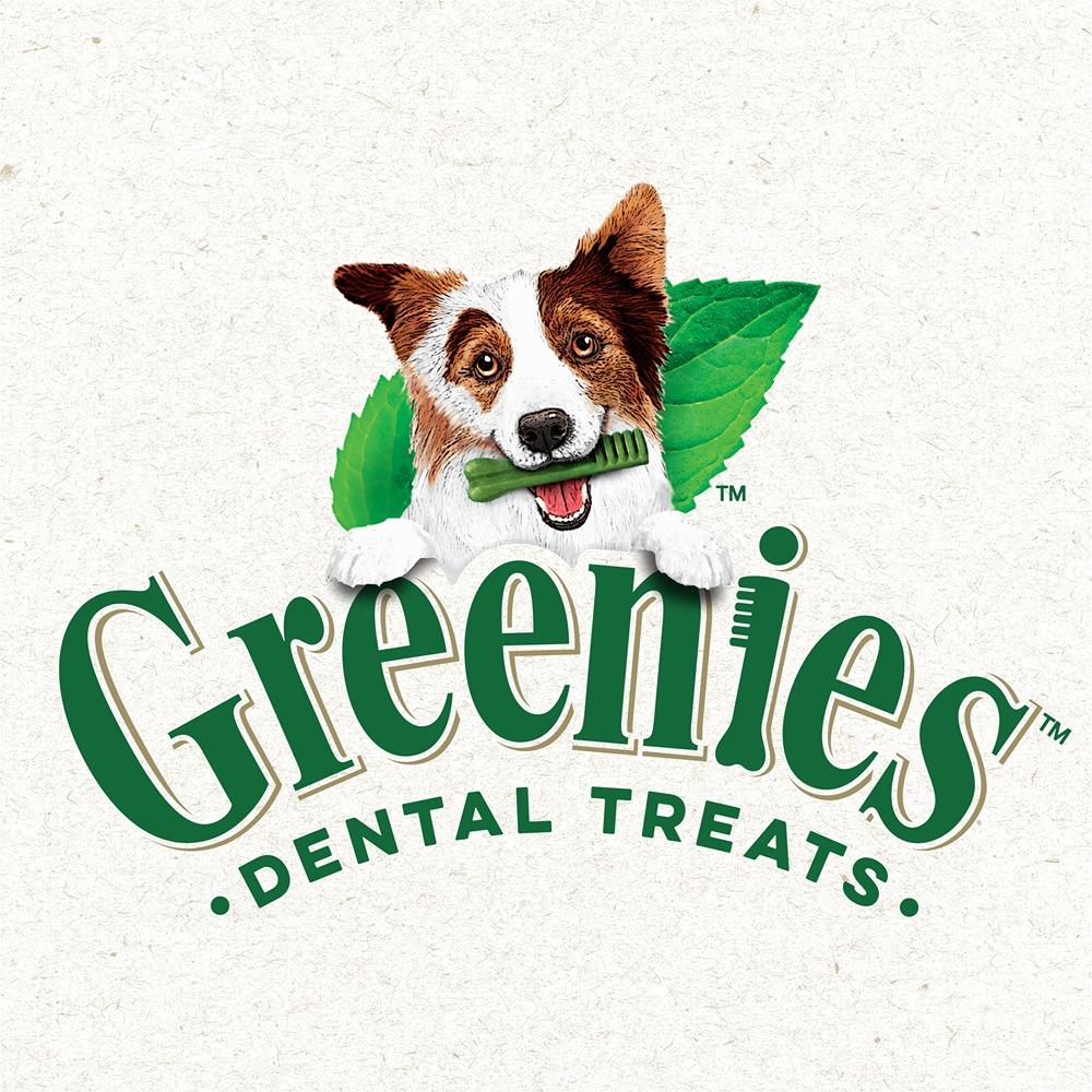 Greenies Canine Dental Dog Treat Sweet Potato Flavored Teenie 340g - Image 9