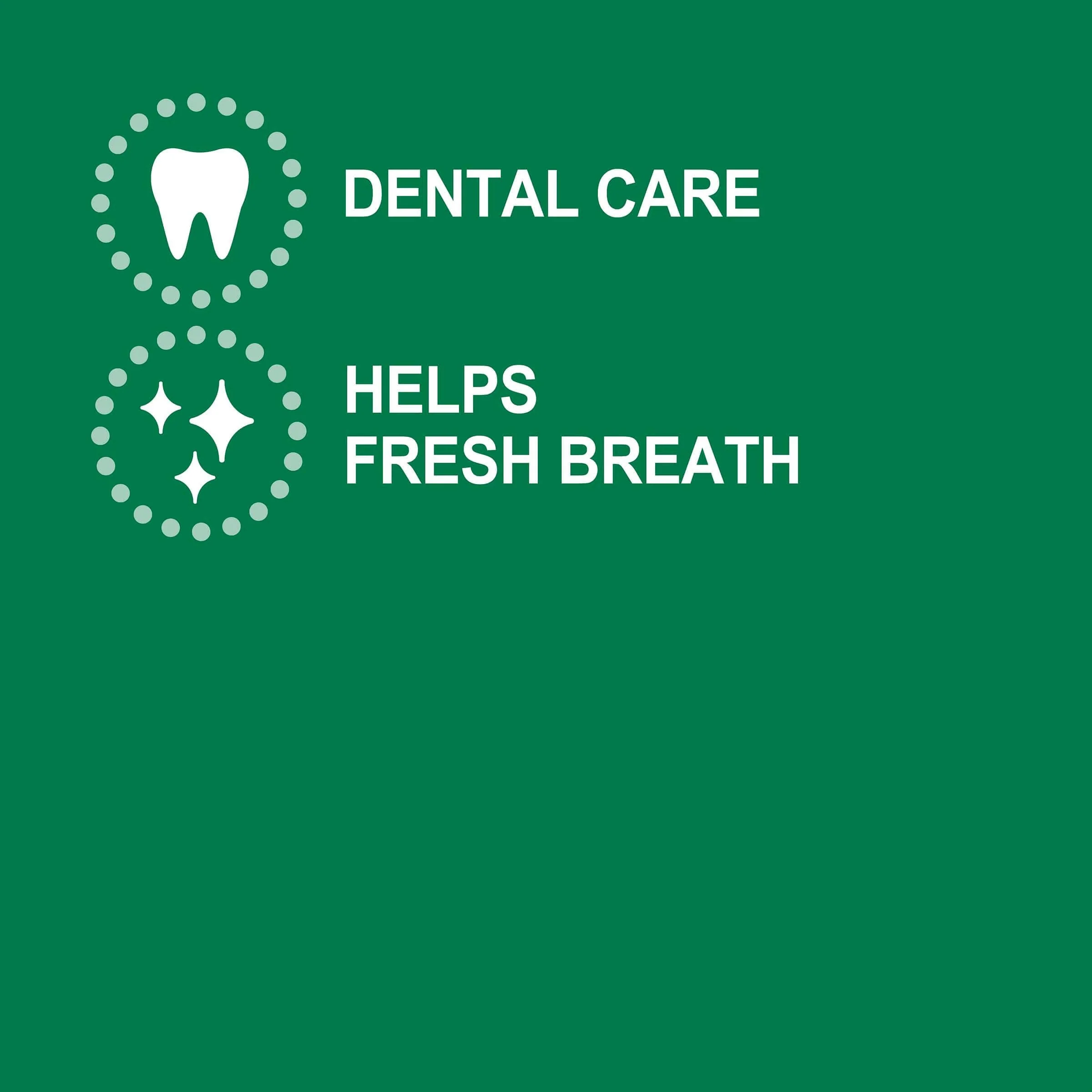 Greenies Freshmint Large Dental Chews Dog Treats 340G - Image 4