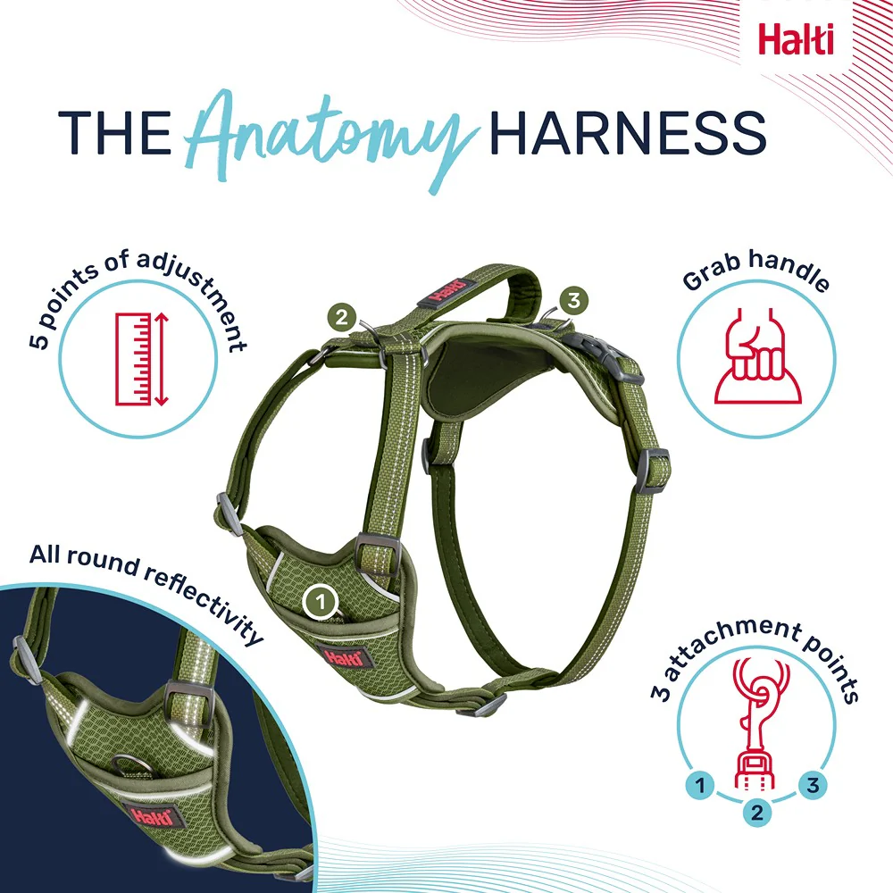 Halti Anatomy Dog Harness Green - Image 12