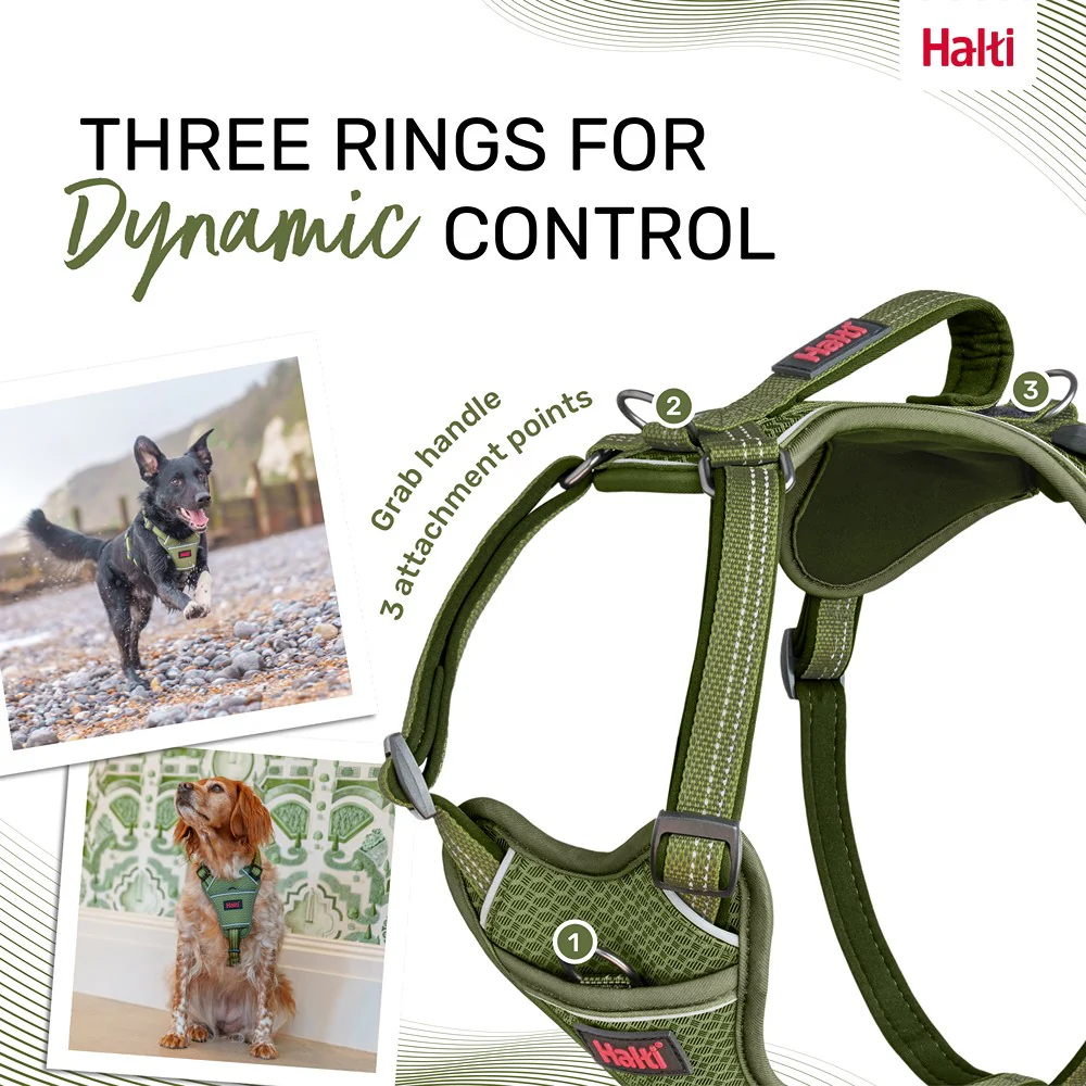 Halti Anatomy Dog Harness Green - Image 23