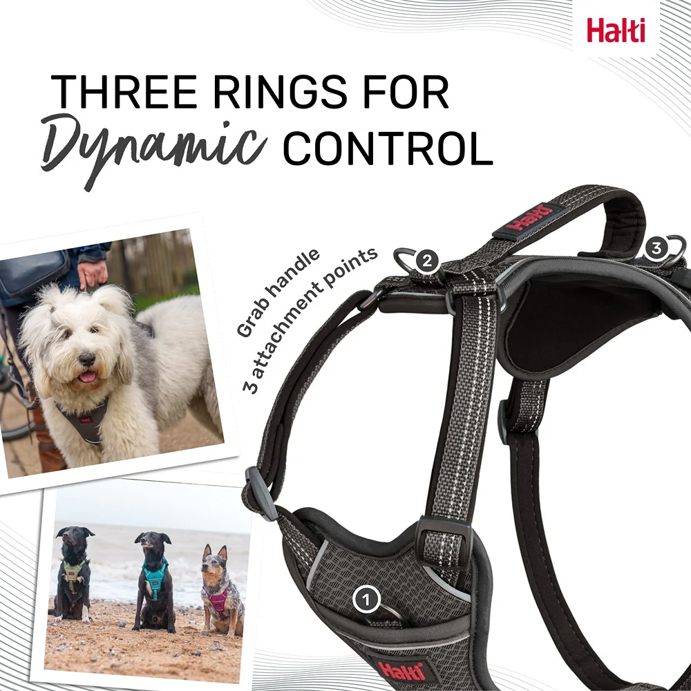 Halti Anatomy Dog Harness Grey - Image 24