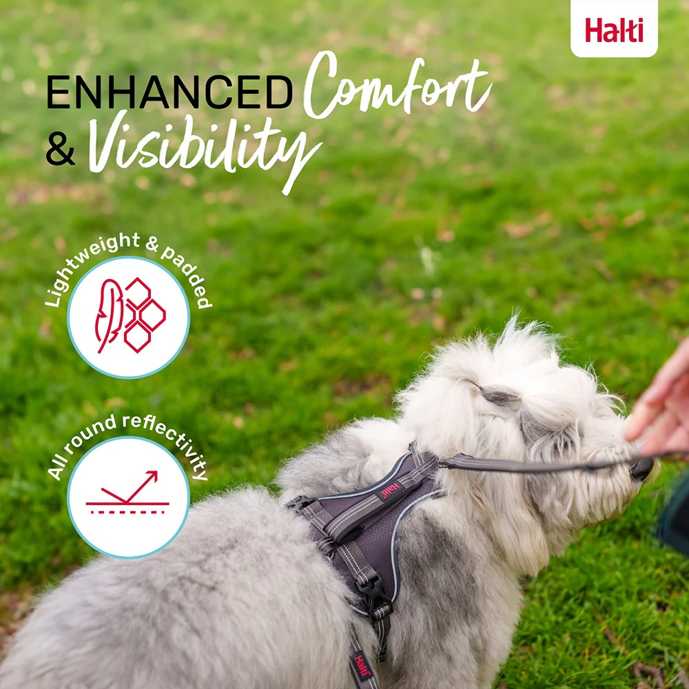 Halti Anatomy Dog Harness Grey - Image 26