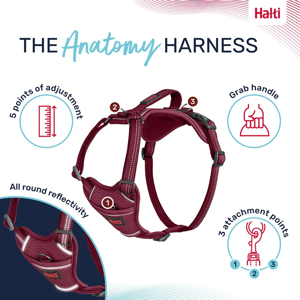 Halti Anatomy Dog Harness Magenta - Image 13
