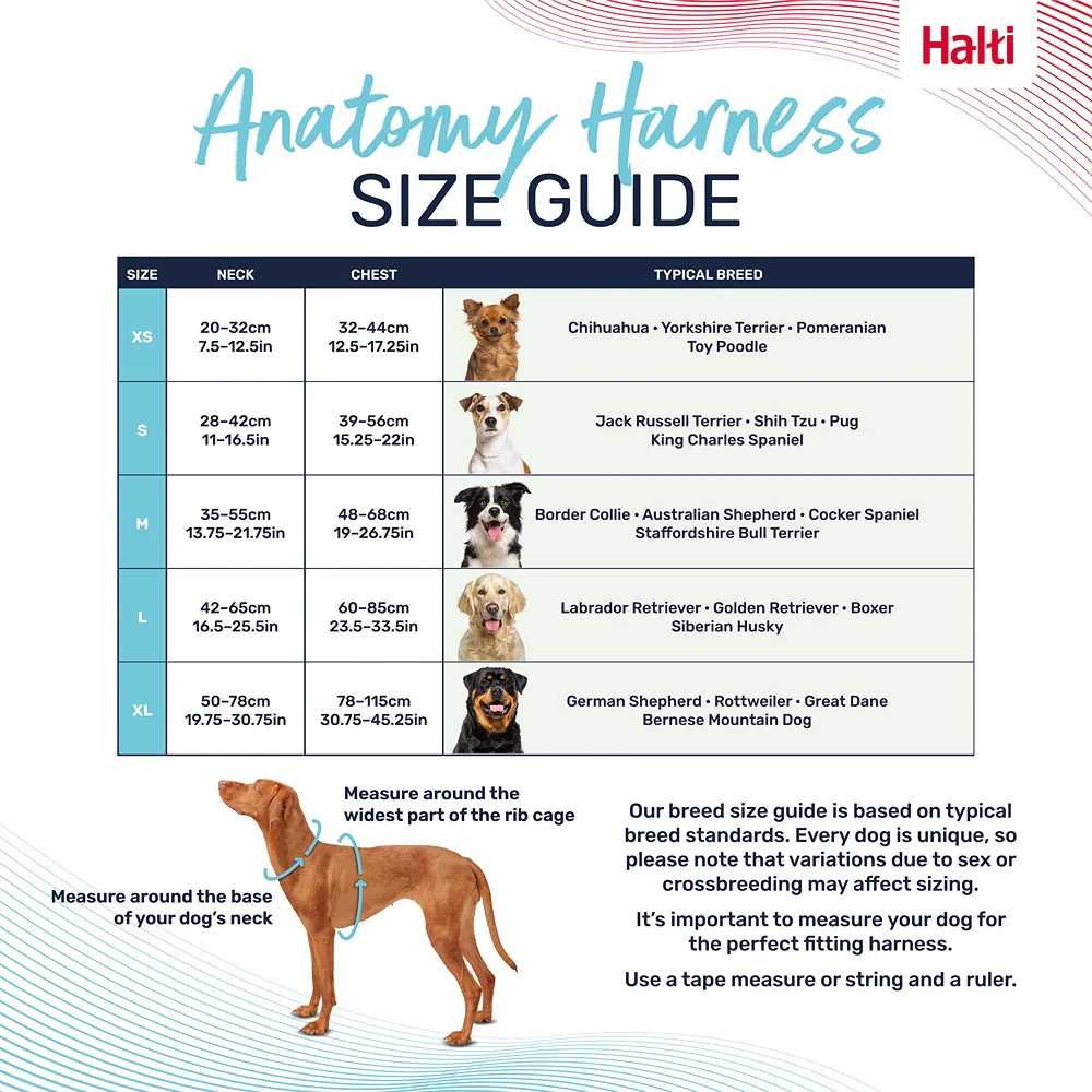 Halti Anatomy Dog Harness Magenta - Image 17