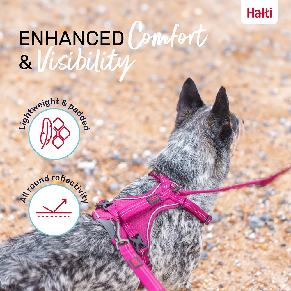 Halti Anatomy Dog Harness Magenta - Image 21