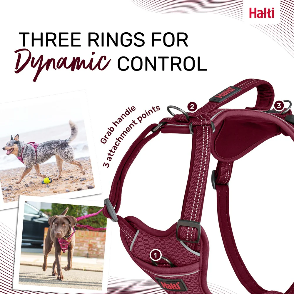 Halti Anatomy Dog Harness Magenta - Image 24