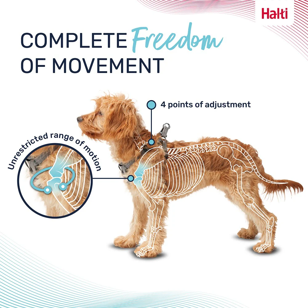 Halti Anatomy Dog Harness Magenta - Image 8