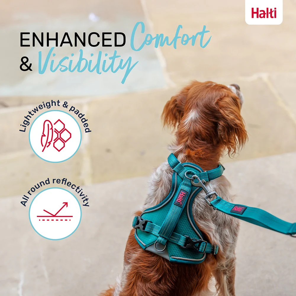 Halti Anatomy Dog Harness Teal - Image 28