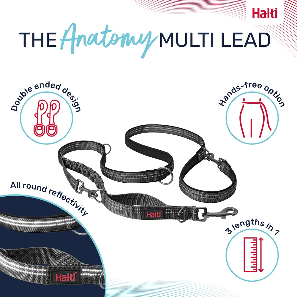 Halti Anatomy Multi Dog Lead Grey - Image 3