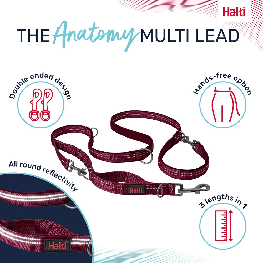 Halti Anatomy Multi Dog Lead Magenta - Image 4