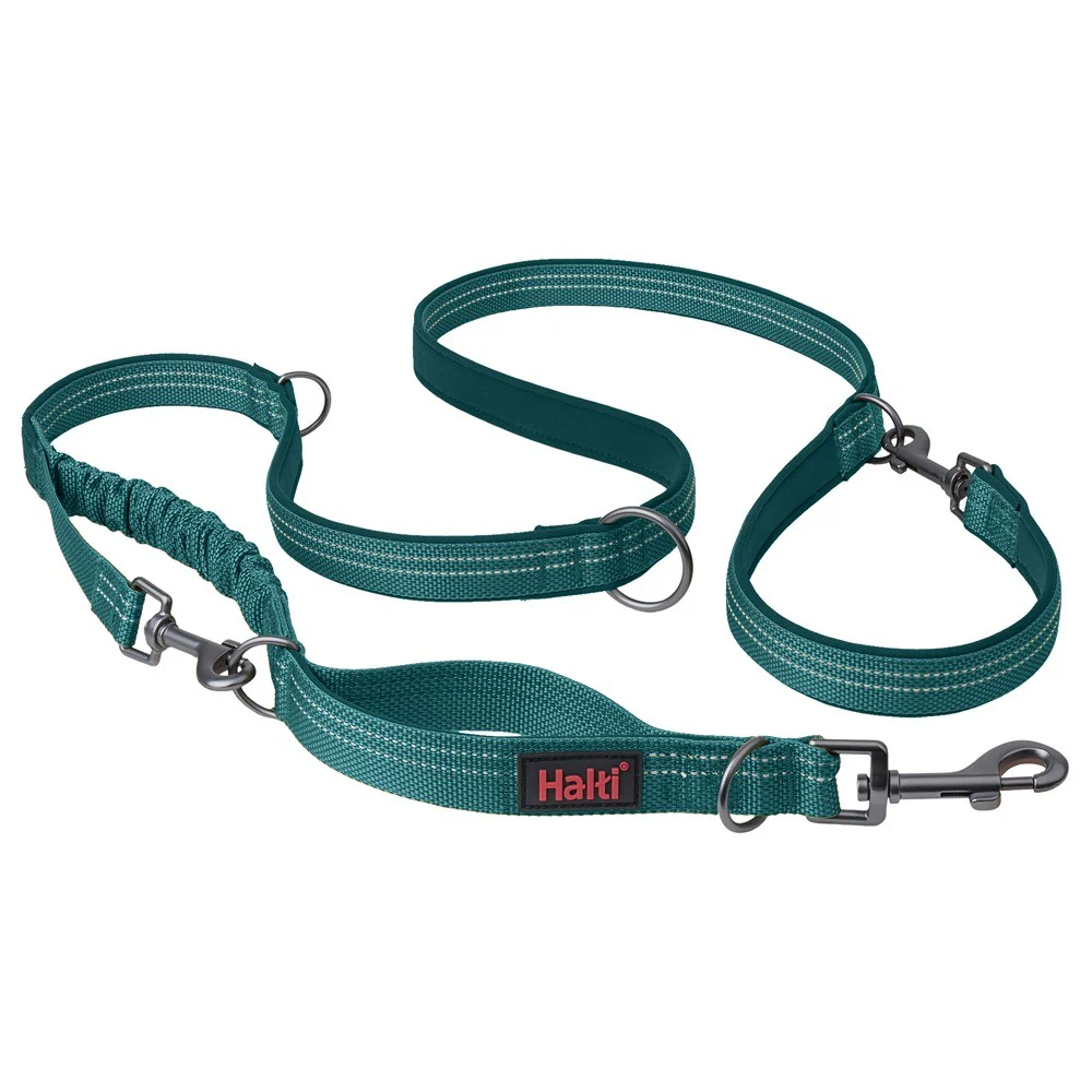 Halti Anatomy Multi Dog Lead Teal - Image 2