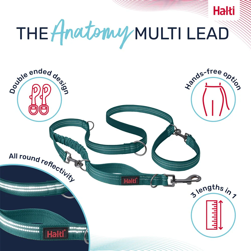 Halti Anatomy Multi Dog Lead Teal - Image 4
